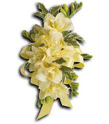 Let Love Shine Corsage from Parkway Florist in Pittsburgh PA
